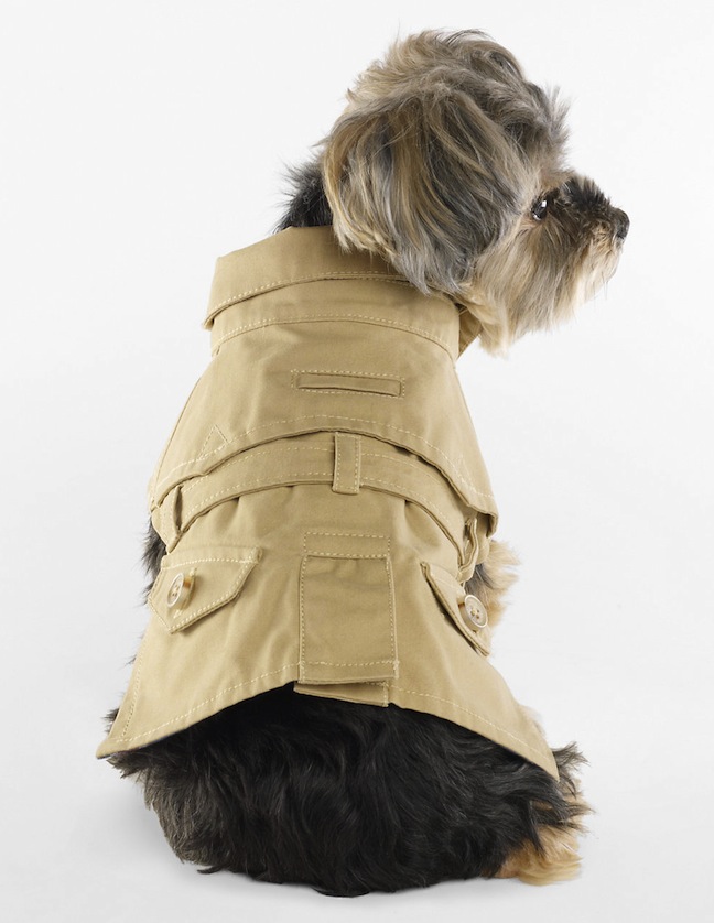 The Terrier and Lobster Desired Ralph Lauren Dog Trench Coat